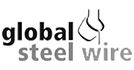 Global steel wire